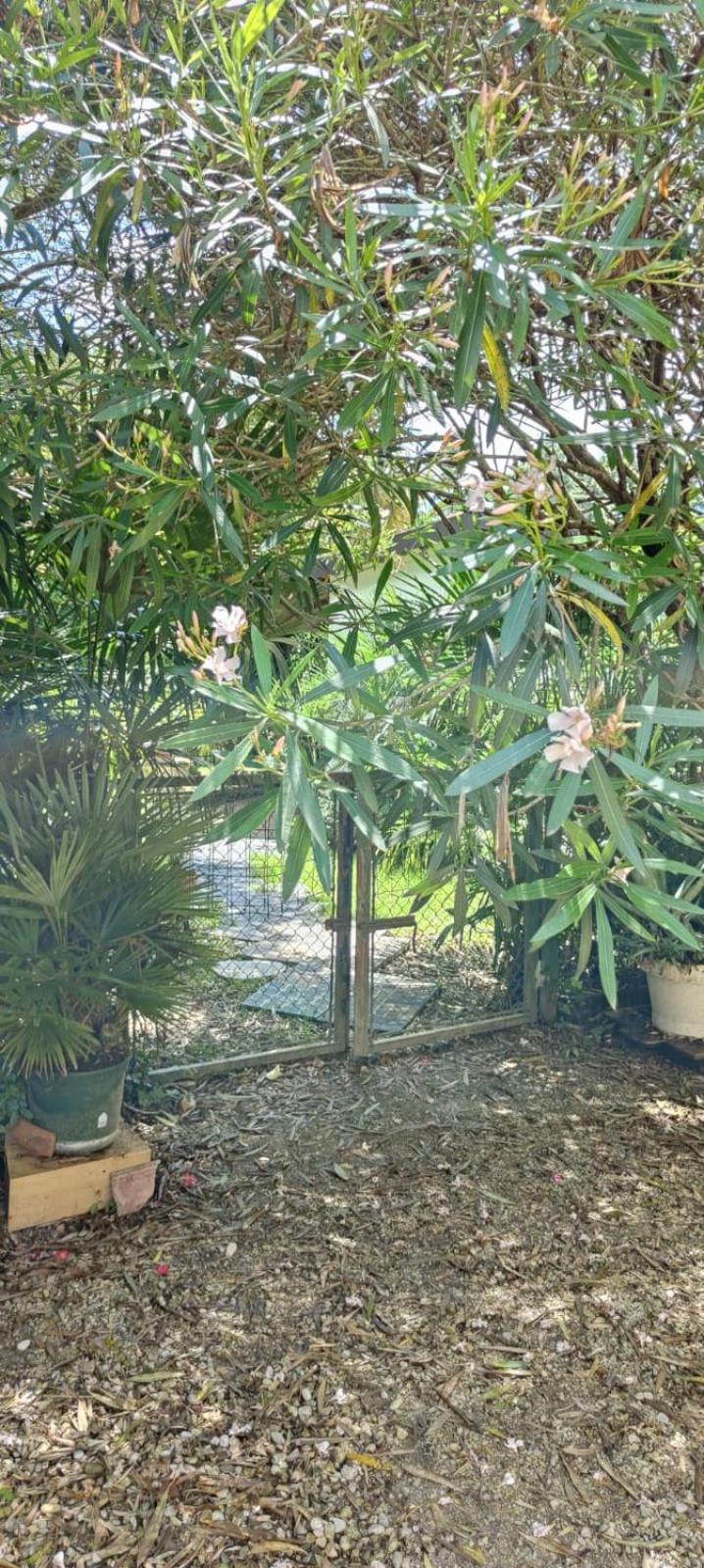 VillaLuigia - Oasi le Palme Padova Esterno foto
