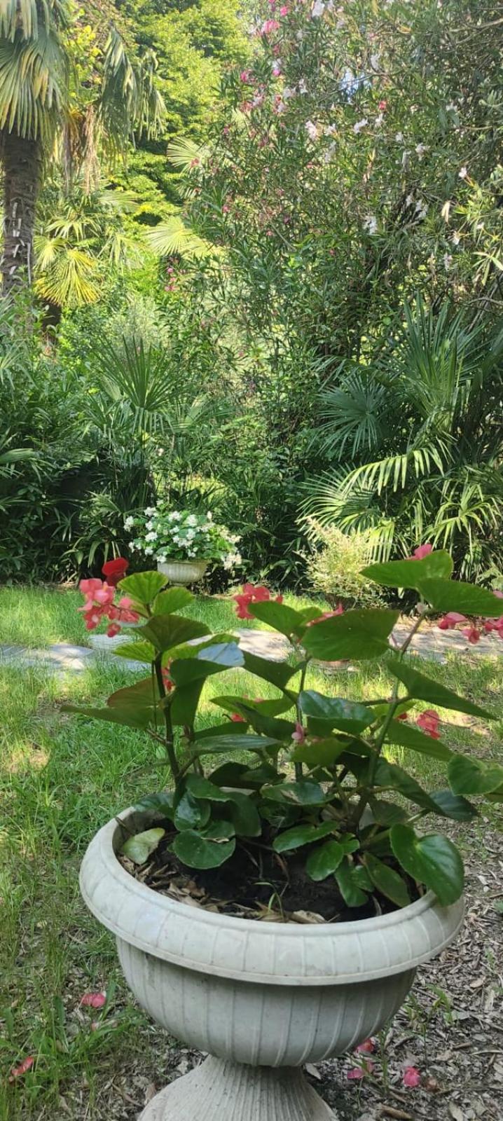 VillaLuigia - Oasi le Palme Padova Esterno foto