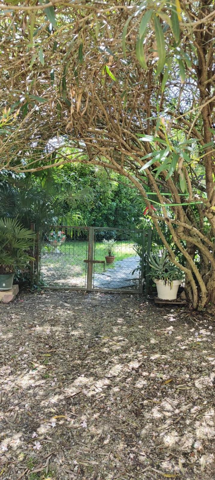 VillaLuigia - Oasi le Palme Padova Esterno foto