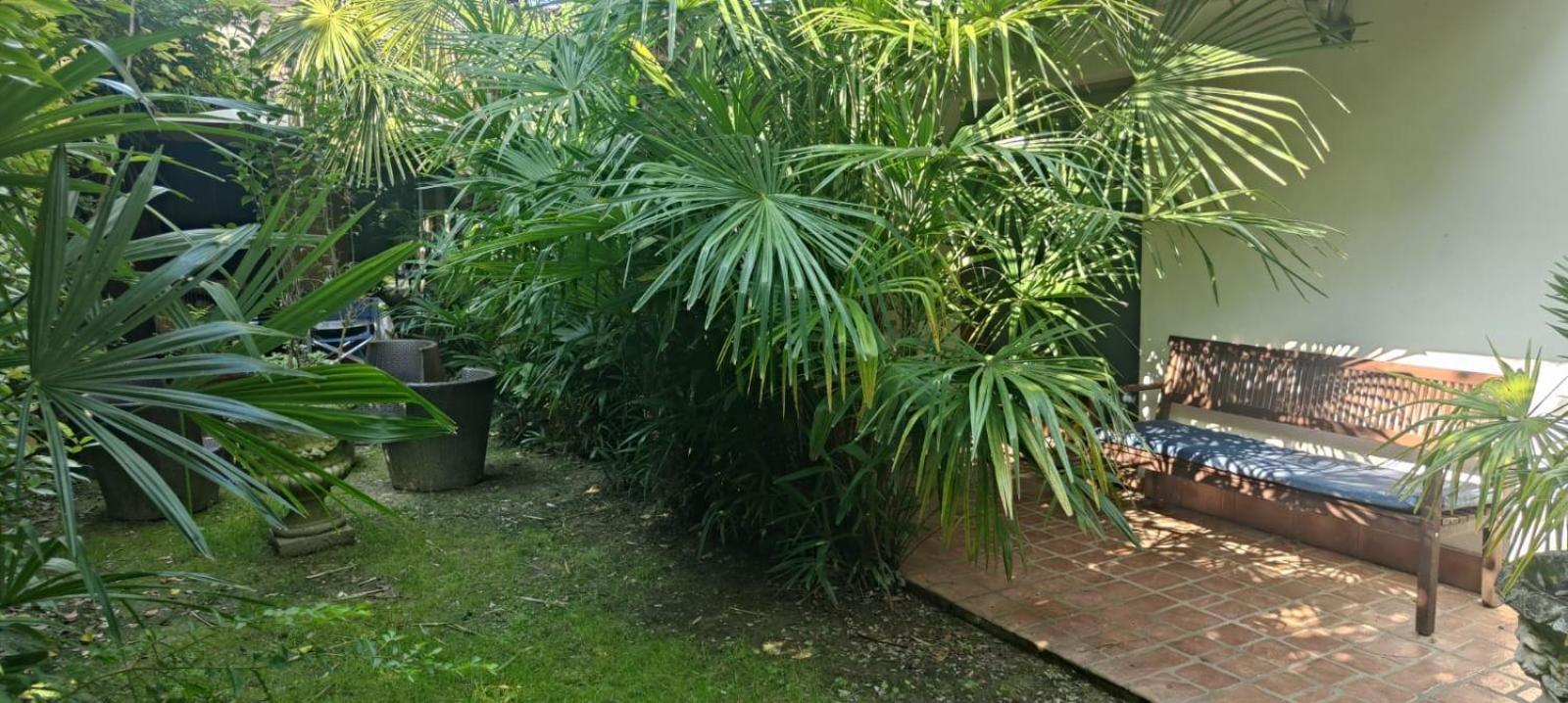 VillaLuigia - Oasi le Palme Padova Esterno foto