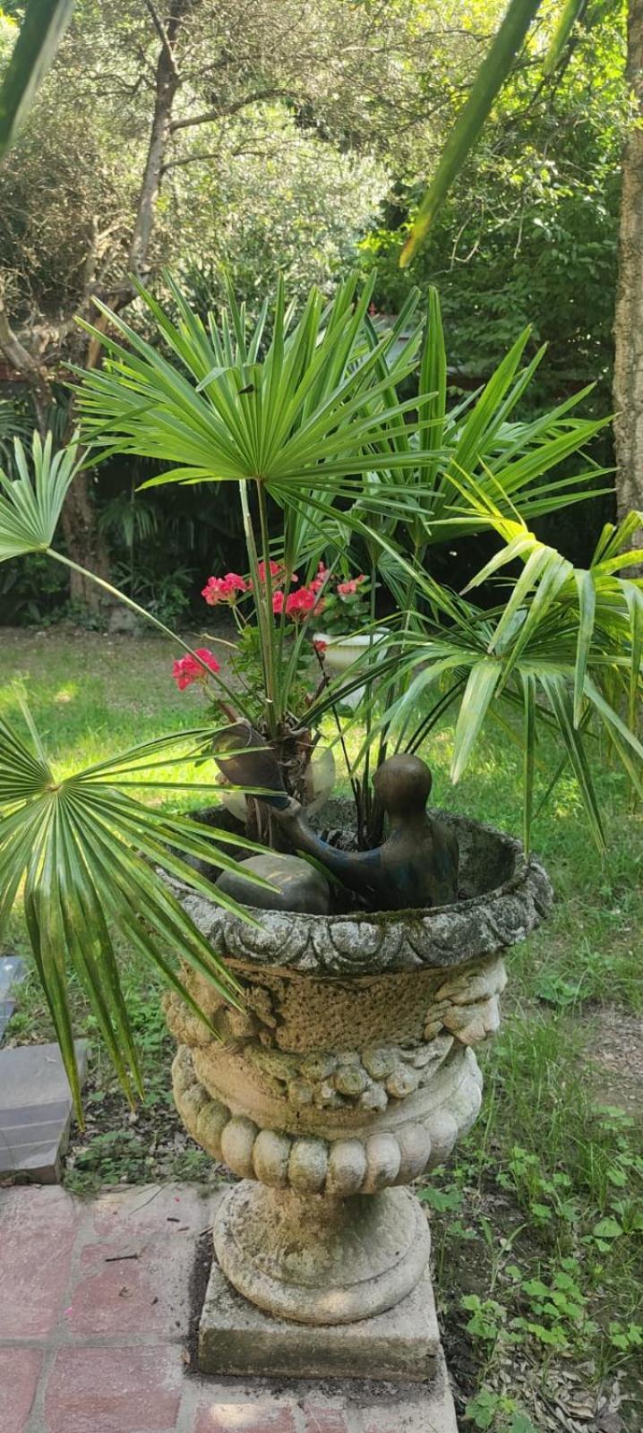 VillaLuigia - Oasi le Palme Padova Esterno foto
