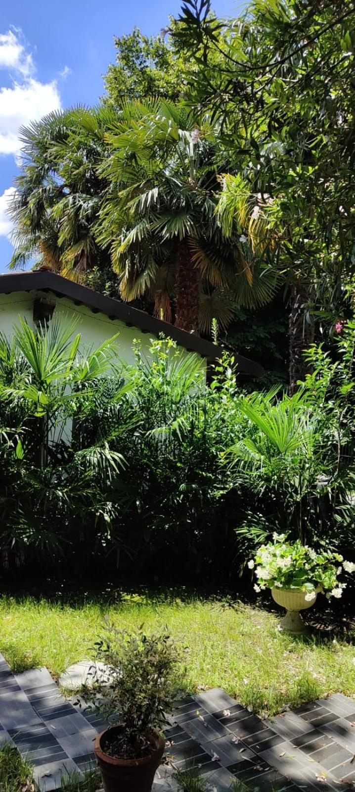 VillaLuigia - Oasi le Palme Padova Esterno foto