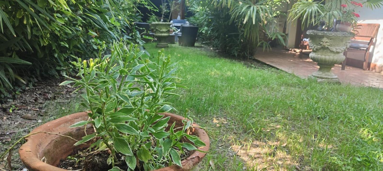 VillaLuigia - Oasi le Palme Padova Esterno foto
