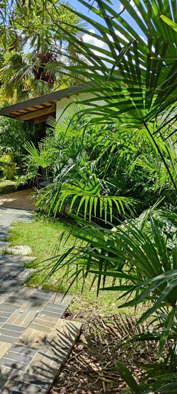 VillaLuigia - Oasi le Palme Padova Esterno foto