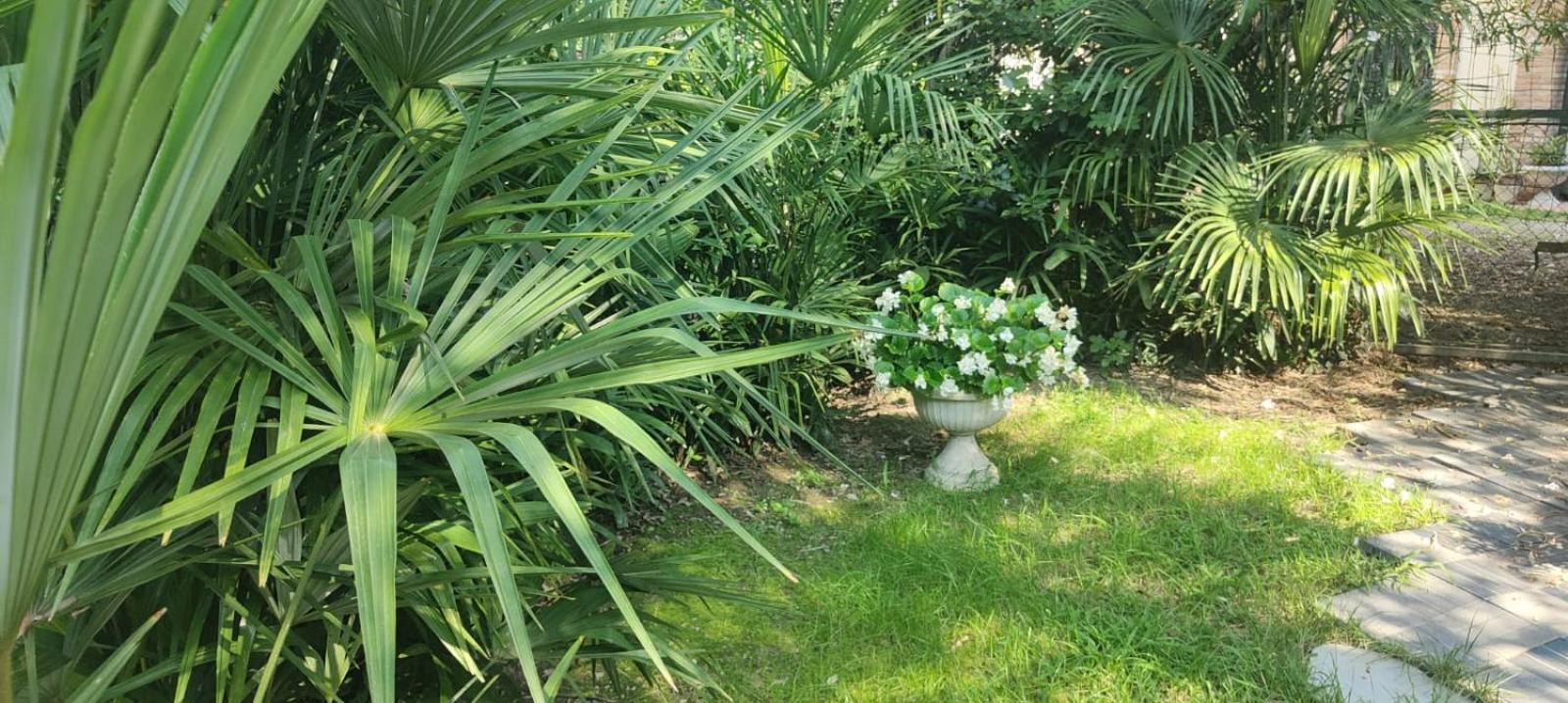 VillaLuigia - Oasi le Palme Padova Esterno foto