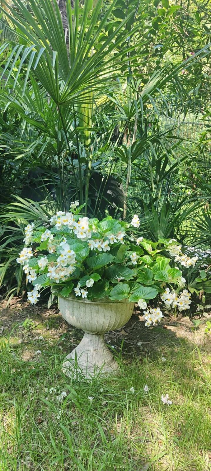 VillaLuigia - Oasi le Palme Padova Esterno foto